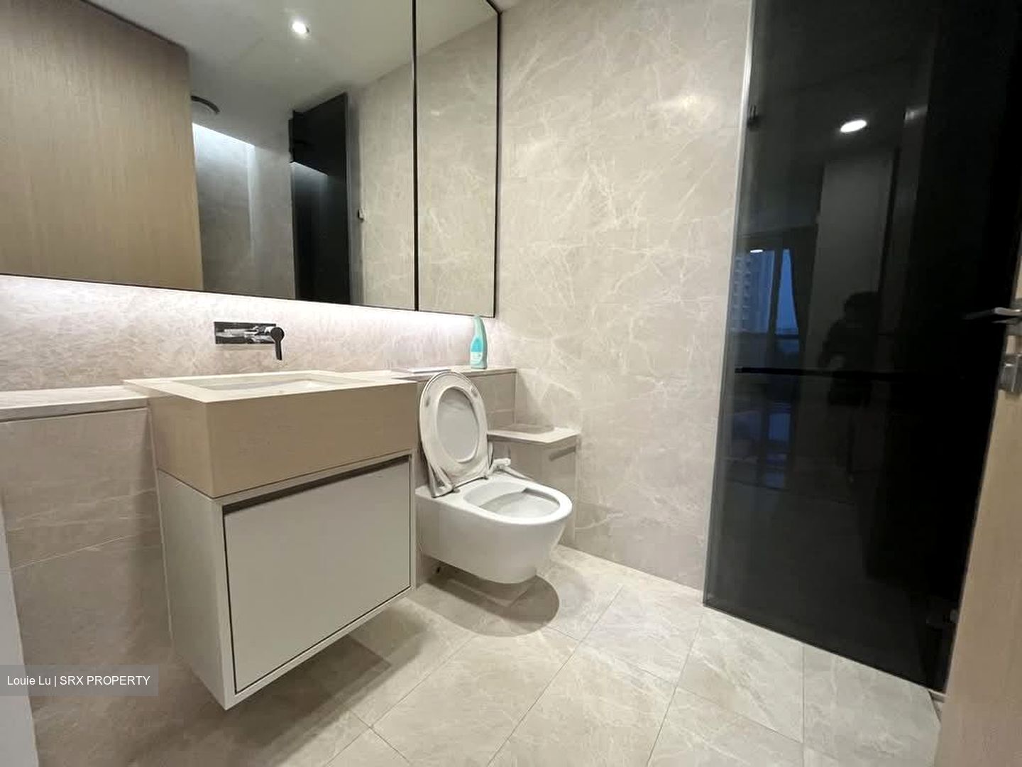 Amber Park (D15), Condominium #560571631